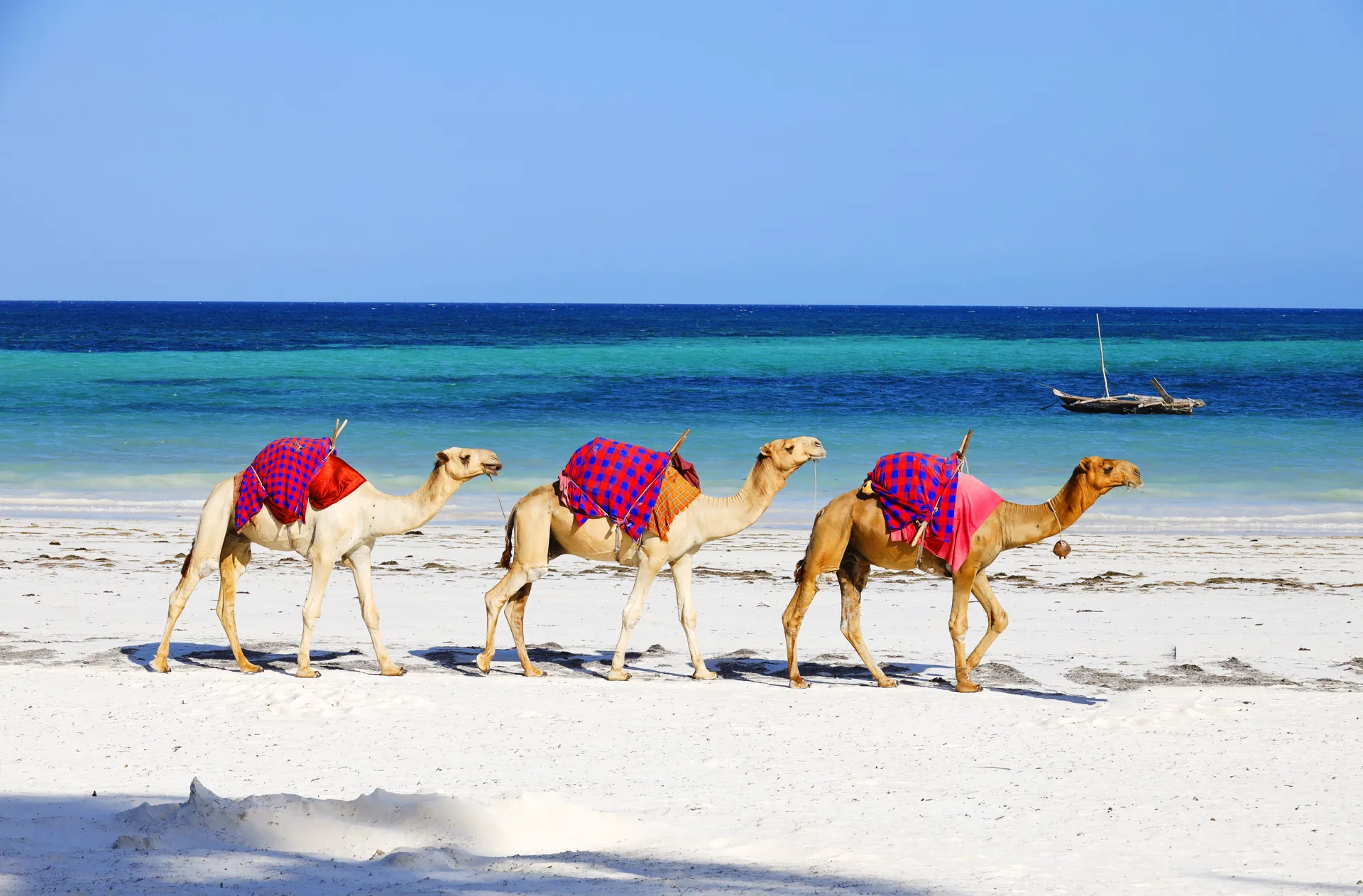 Dubai turları