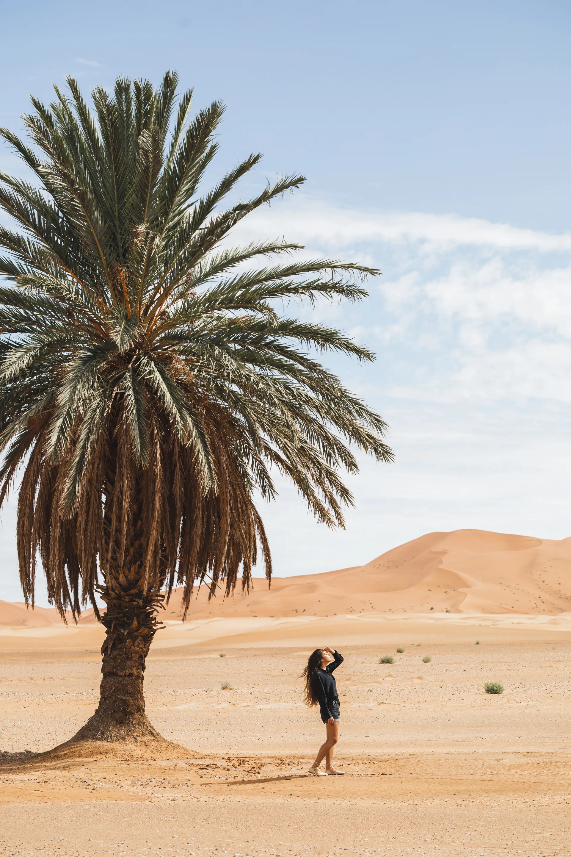 Dubai turları